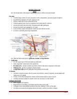 Grade 12 Chap 5 part 2.pdf